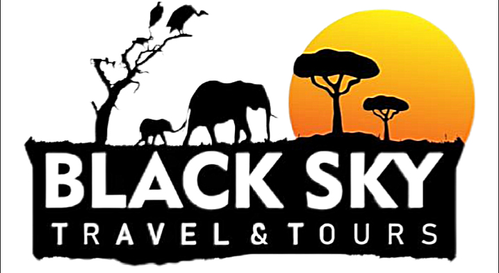 Sky blue logo